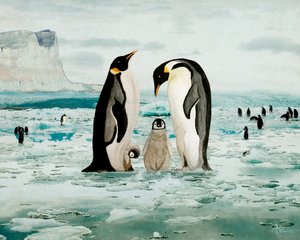 En familie af kejserpingviner af Angeles M. Pomata