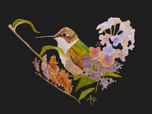 Kolibri-hjerteblomster af Angeles M. Pomata