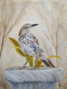 Fredelig havetrasher af Angeles M. Pomata