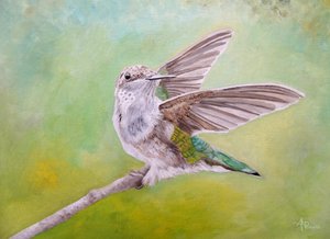En kolibris udbredte vinger af Angeles M. Pomata
