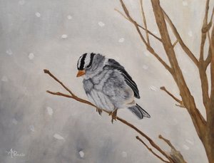 Stille vinterspurv af Angeles M. Pomata