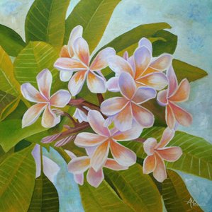 Bløde plumeria-blomster af Angeles M. Pomata