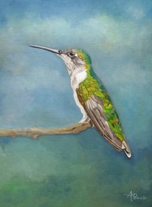Farverig kolibri-siddeplads af Angeles M. Pomata