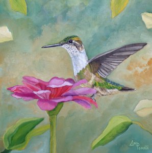 Den livlige kolibri-zinnia af Angeles M. Pomata
