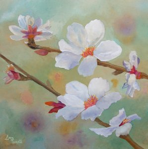 Hvide mandelblomster