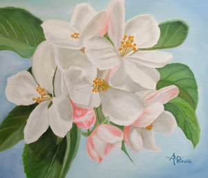 Hvide æbleblomster af Angeles M. Pomata