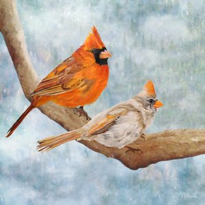 Et par vinterkardinaler af Angeles M. Pomata