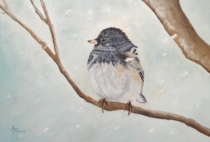 Vinterjunco af Angeles M. Pomata