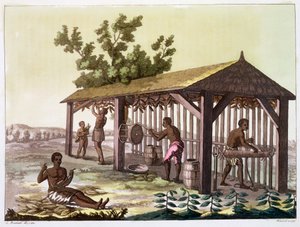 Slaver tilbereder tobak, Virginia, USA. c1790 c1820-1839