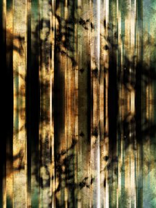 Abstrakt: Skovskygger
