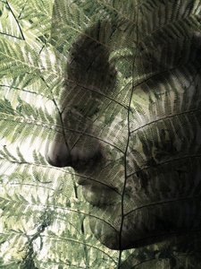 Botanisk ansigtsprofil af Angelo Cerantola