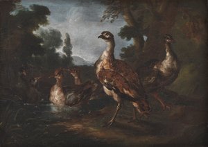 Landskab med fugle af Angelo Maria Crivelli