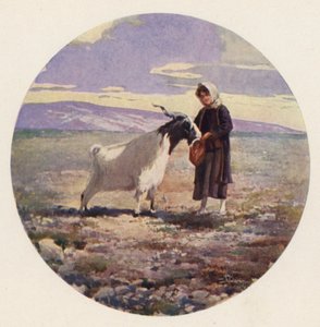 Gedehyrde, Attika, Grækenland (farve litho)