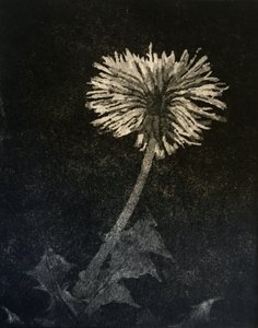 Hope, 2019 (ætsning og akvatint på papir) af angus hampel