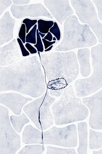 Abstrakt Blå rose