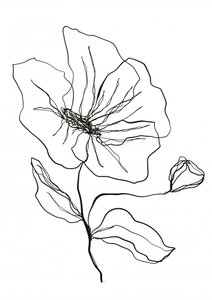 Skitse af en yndig blomst