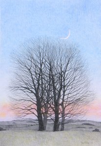New Moon, 2011 (farvet blyant på papir) af Anna Phillips