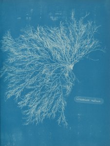 Rød keramik, ca. 1853
