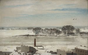 Udsigt fra vinterhavens vinduer