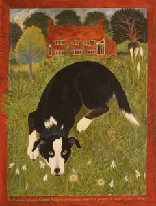Collie-hund (akryl) af Anna Pugh