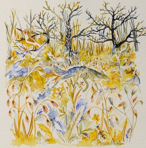 Ræv i skoven, 2023 (akvarel) af Anna Pugh