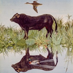 Reflekterende, 2004 (akryl) af Anna Pugh