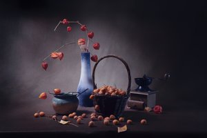  af Anna Qu