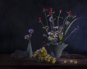  af Anna Qu
