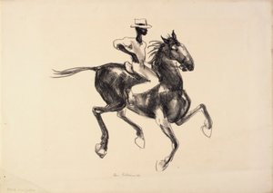 Hest og rytter