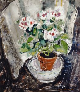 Pelargonium (akvarel på papir)