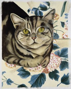 Tabby kat