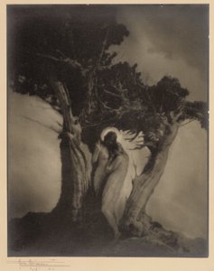 Stormens hjerte af Anne W. Brigman