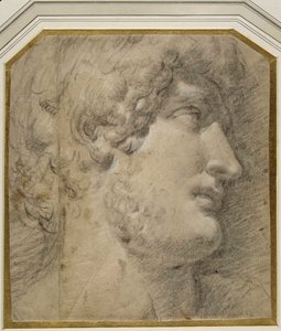 Leder af kejser Gallienus (eller? Hadrian), efter det antikke (sort kridt på flødepapir) af Annibale Carracci