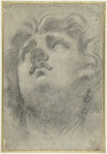 Ser hovedet af en triton ud af Annibale Carracci