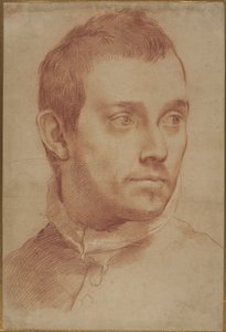 Portræt af en ung mand af Annibale Carracci