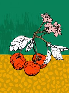Kirsebærtræets blomster af Annick