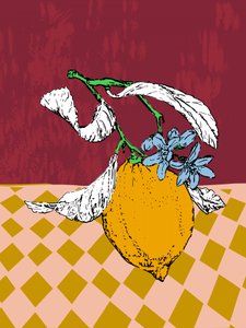 Stilleben med citronblomster