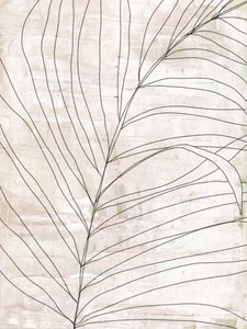 Minimalistiske botaniske linjer