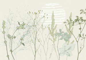 Dæmpet botanisk solopgang af Annick