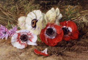 Anemoner af Annie Feray Mutrie