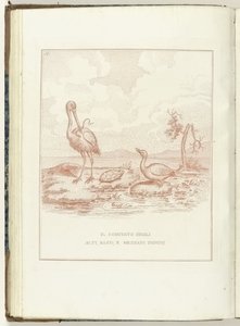 Comité van Hoge, Lage en Middelbare Heerlijkheden, 1795 Komitéen for Alti, Bassi og Mezzani Domini (titel på objekt) Hollandia Regenerata (Italiensk kopie) (serietitel) Hollands regeneration: spechio til alle regenererede folk (serie t af Anonymous