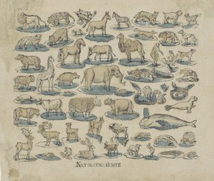 tjenere Natural History (titel på objekt) af Anonymous