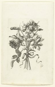 Tre blomster, inklusive en påskelilje og en nellike Novae Florum Icones (serietitel) af Anonymous