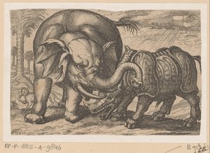 Et næsehorn kæmper mod en elefant Fighting Animals (kopier) (serietitel) af Anonymous