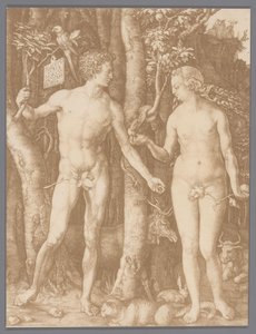 Fotoreproduktion af graveringen Adam og Eva af Albrecht Dürer af Anonymous
