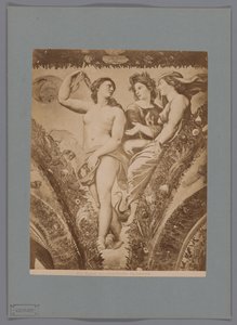 Fotoreproduktion af fresco Amor en Psyche i Loggia di Psyche, Villa Farnesina te Rom Rom. Amor og Psyche. Farnesina (titel på objekt) af Anonymous