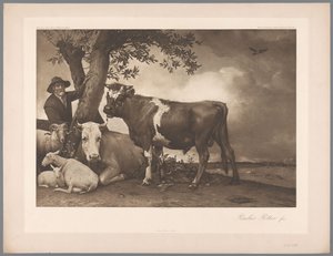 Fotogengivelse af maleriet Tyren af ​​Paulus Potter, saml. Mauritshuis 1904 - Nej. 54. / Konigl. Museum i Haag (serietitel) af Anonymous