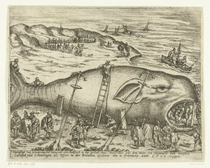 Strandede Walvis nær Berckhey, 1598 Warhafttigh And Wonderful Monster eller Pottfisch i form af en hval, hvorfra Möer havde slammet op mellem Catwyck og Schevelingen som Wyter i relationen ercleret den 4. februar Anno 1598 (tit. af Anonymous