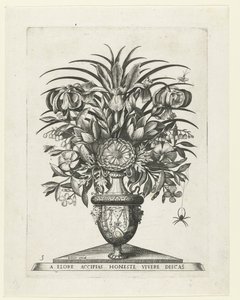 Grotesk vase med to mascarons på hver side af en bukranion Vaser med blomster (serietitel) af Anonymous