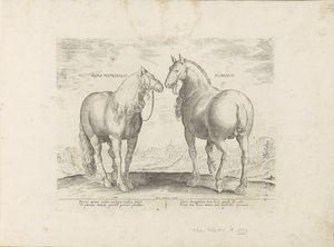 Hengst en merrie uit Rom Roman Matronal Horse (titel på objekt) Paardenrassen uit de Koninklijke stallen van Don Juan van Austria (serietitel) Hesten, hvor alle slags adelige: adfærden hos heste udvalgt fra forskellige dele af verden skelnes ( af Anonymous